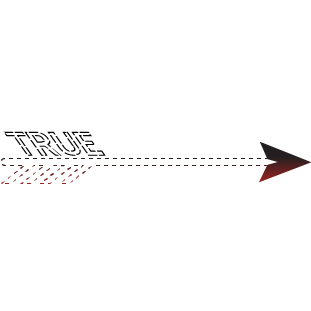 illustration representing the arrowhead of the TRUE arrow
