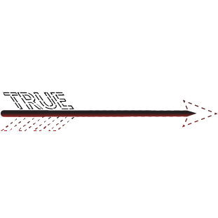 true arrow shaft illustration